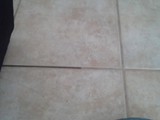 Tile and Grout Cleaning