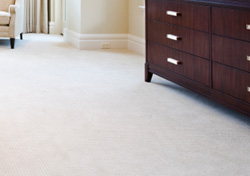 Phoenix Carpet and Rug Cleaners